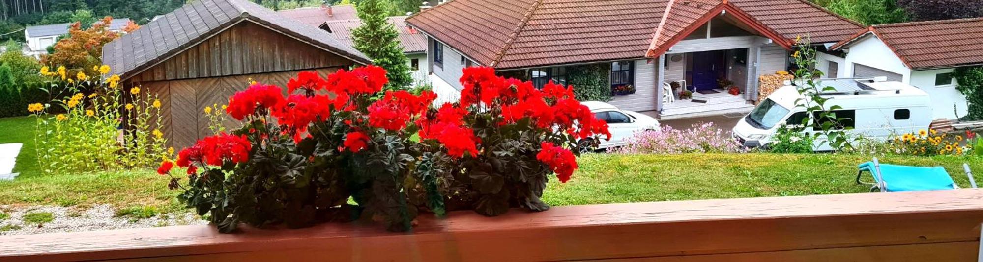 Haus Loeger Apartments Pyhrn Priel Windischgarsten Luaran gambar